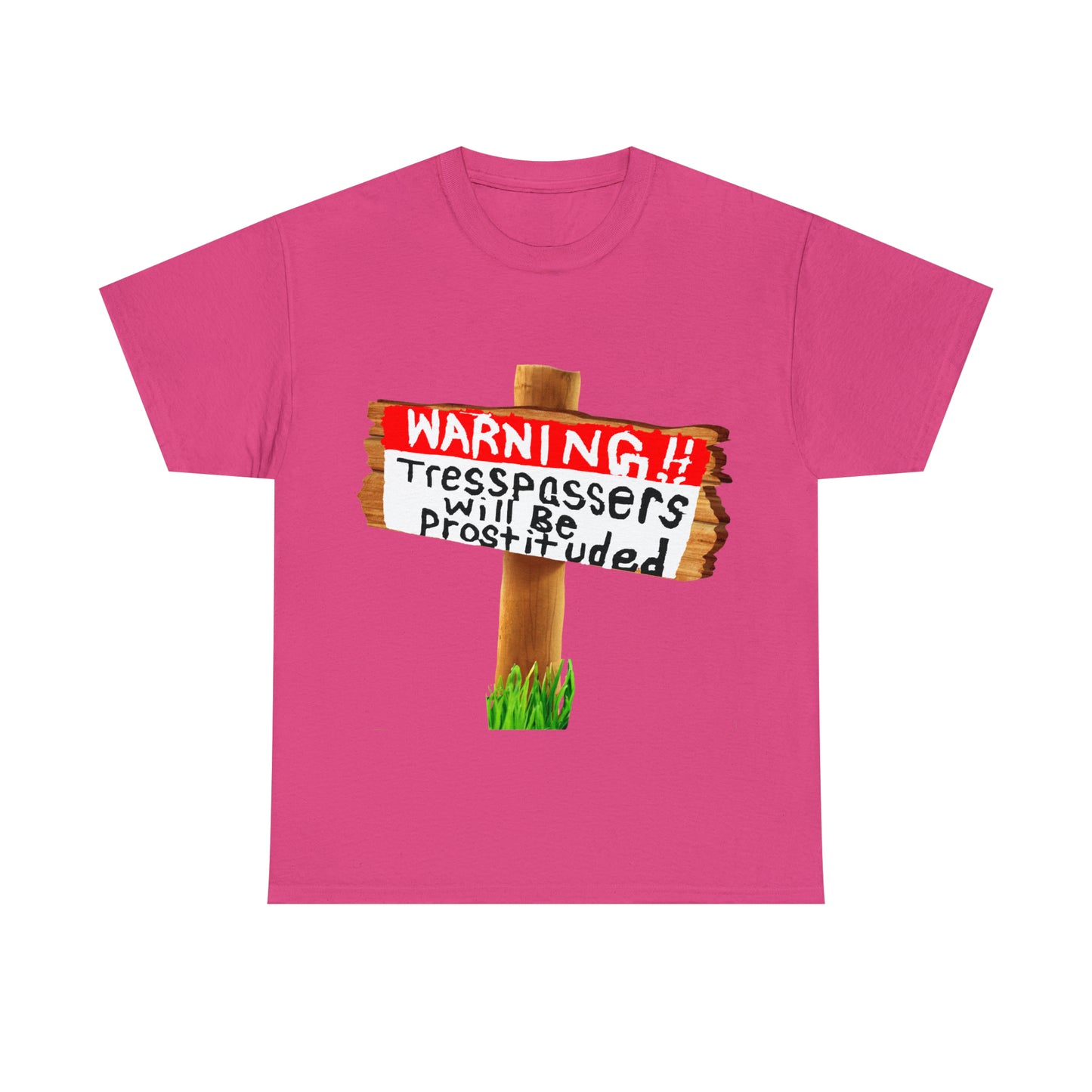 WARNING TRESSPASSERS WILL BE PROSTITUDED - Funny Unisex Heavy Cotton Tee - AUS