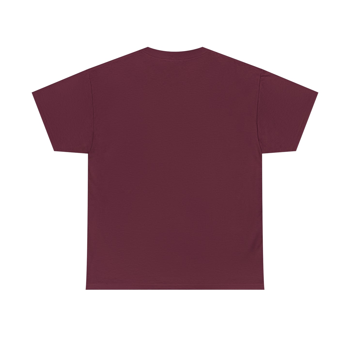 Don't have the TIME or the CRAYONS - Printed in the USA - Unisex Heavy Cotton Tee