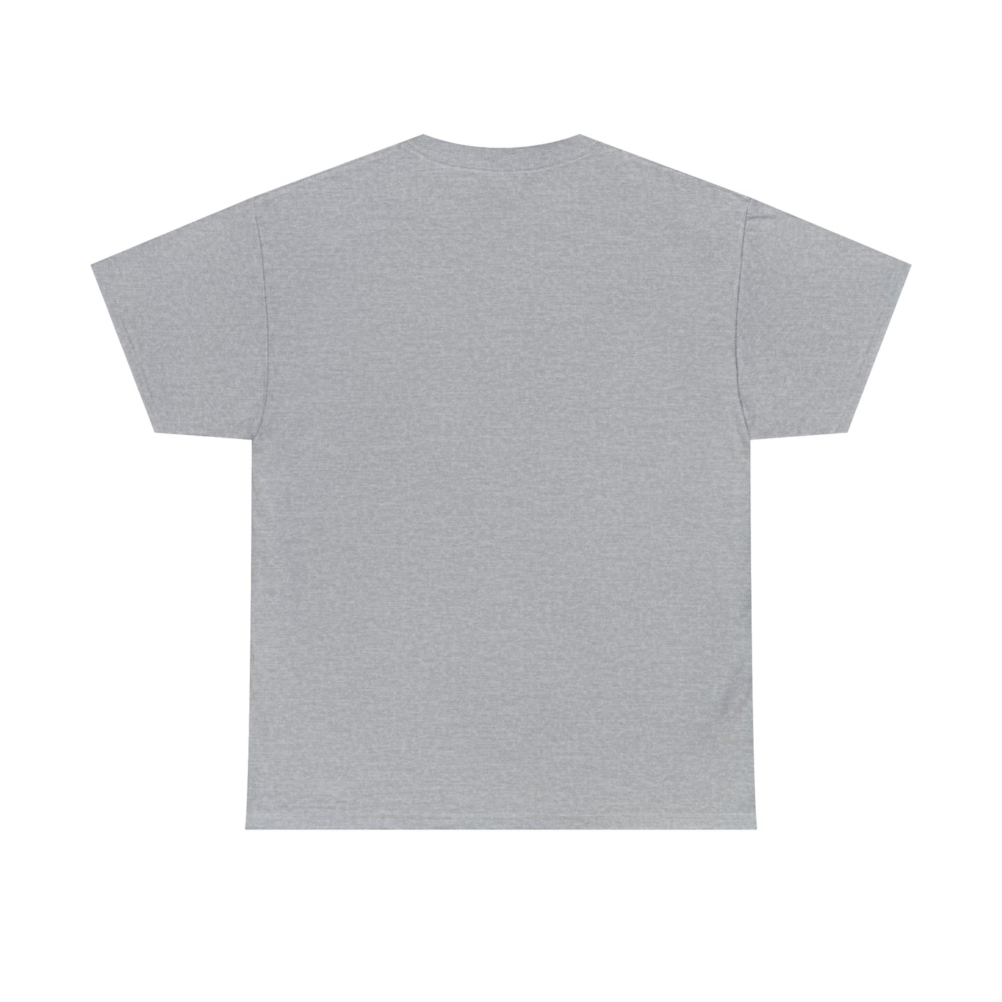 Don't have the TIME or the CRAYONS - Printed in the USA - Unisex Heavy Cotton Tee