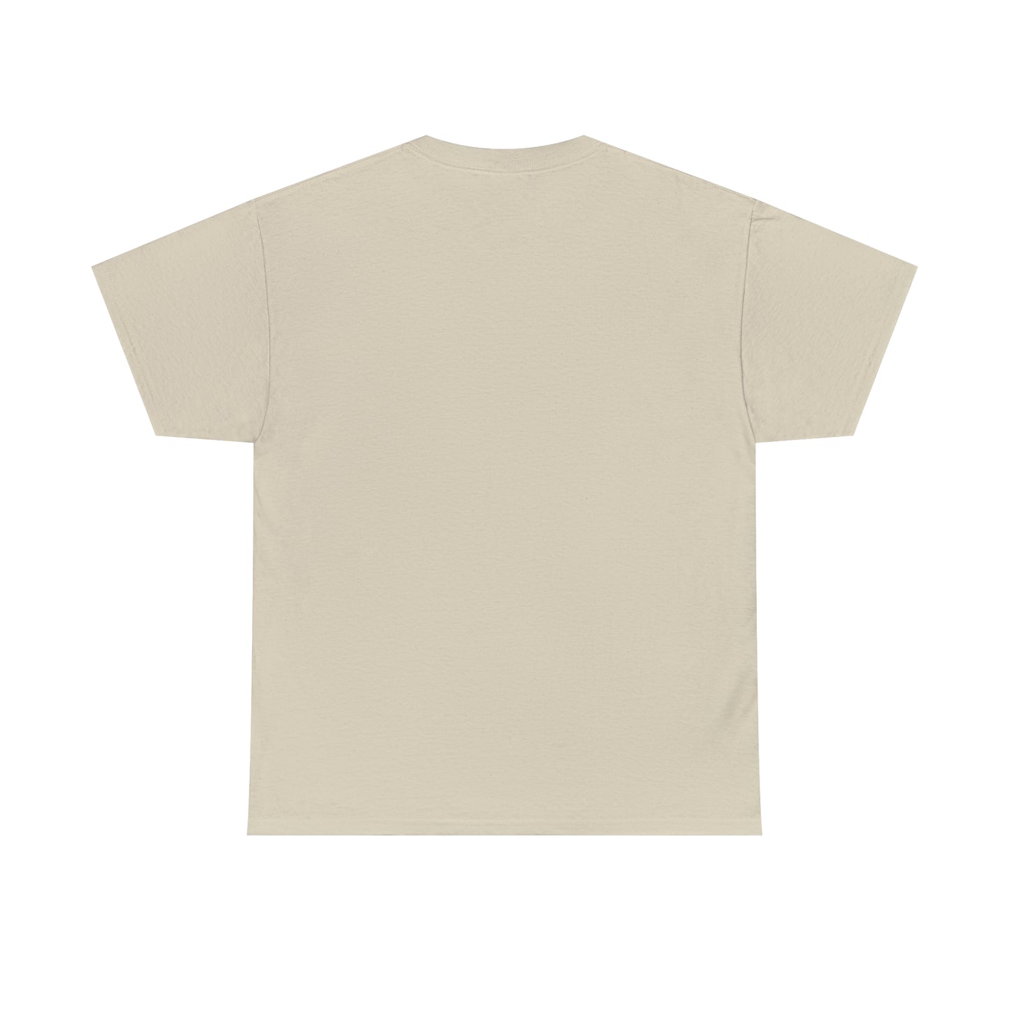 Don't have the TIME or the CRAYONS - Printed in the USA - Unisex Heavy Cotton Tee