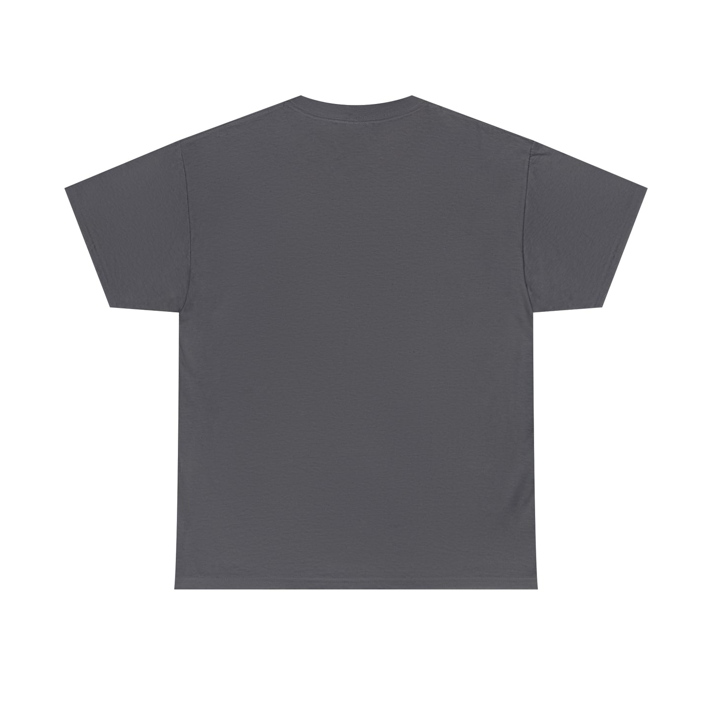 Don't have the TIME or the CRAYONS - Printed in the USA - Unisex Heavy Cotton Tee