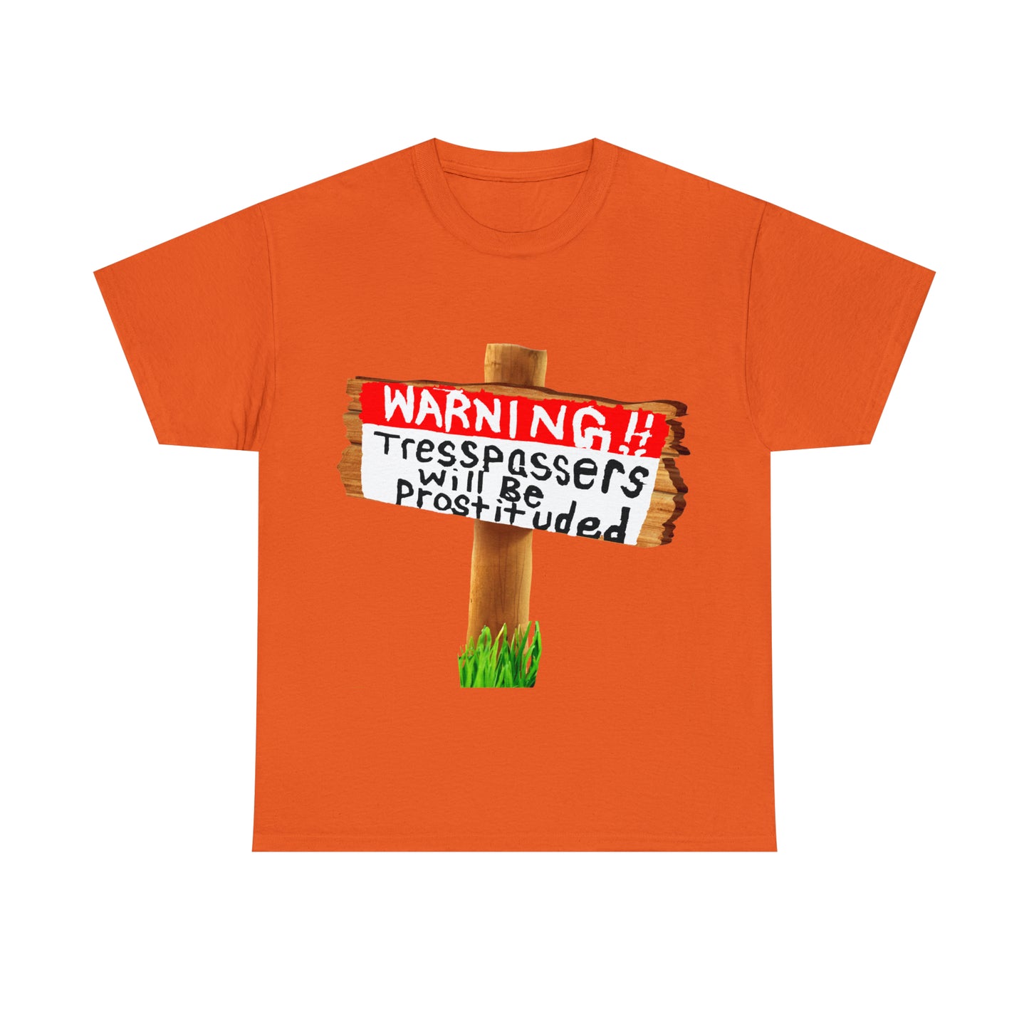 WARNING TRESSPASSERS WILL BE PROSTITUDED - Funny Unisex Heavy Cotton Tee - AUS